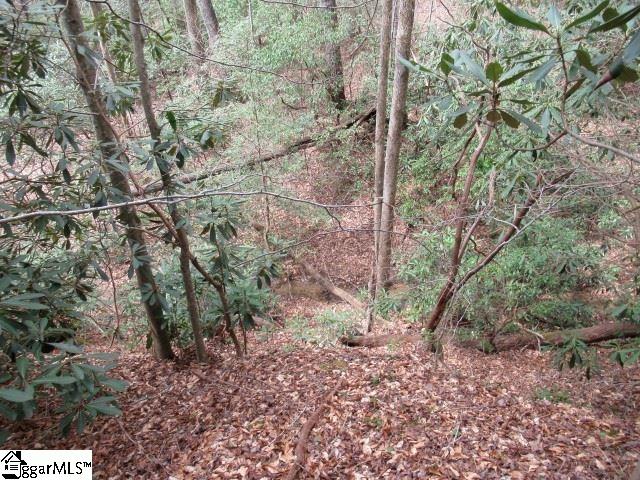 Property image 5 at 9 Mountain Ridge Estates Drive, Cleveland, SC 29635