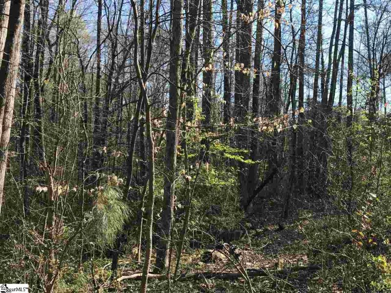 Property image 4 at 7 Spur Drive, Travelers Rest, SC 29690