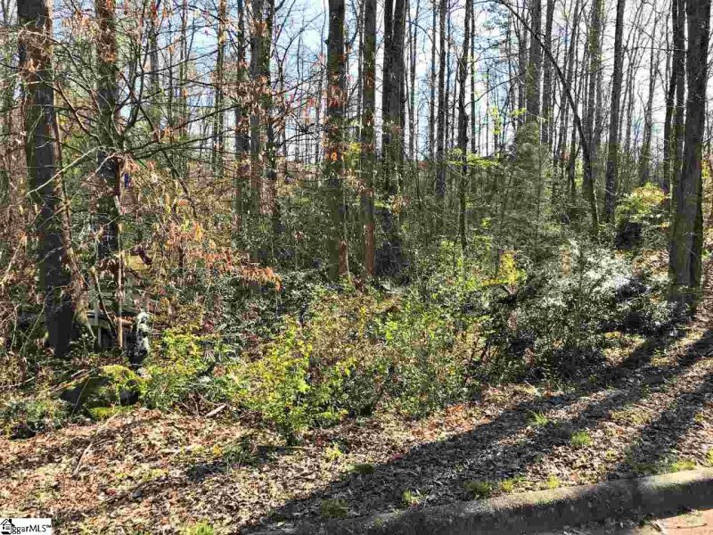 Property image 5 at 7 Spur Drive, Travelers Rest, SC 29690