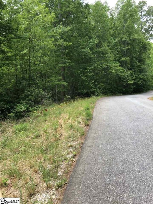 Property image 2 at 0 Copperline Drive, Cleveland, SC 29635