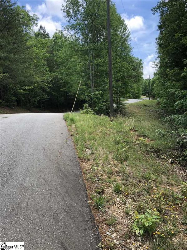 Property image 3 at 0 Copperline Drive, Cleveland, SC 29635