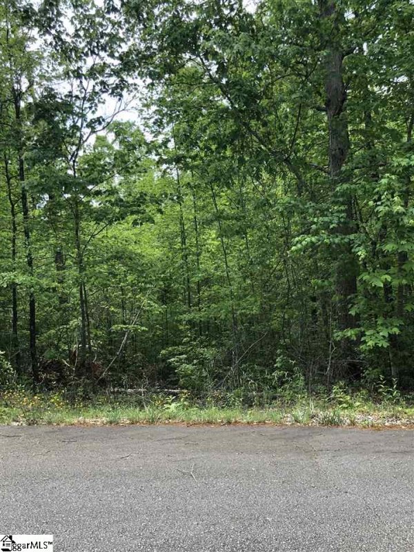 Property image 4 at 0 Copperline Drive, Cleveland, SC 29635