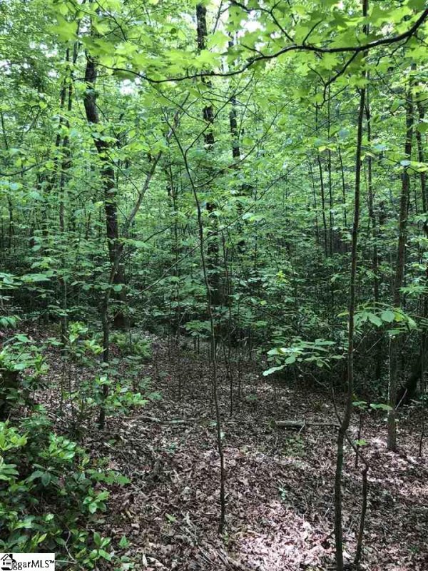 Property image 5 at 0 Copperline Drive, Cleveland, SC 29635