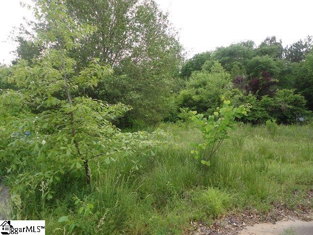 Property image 2 at 235 Branchwood Drive, Liberty, SC 29657