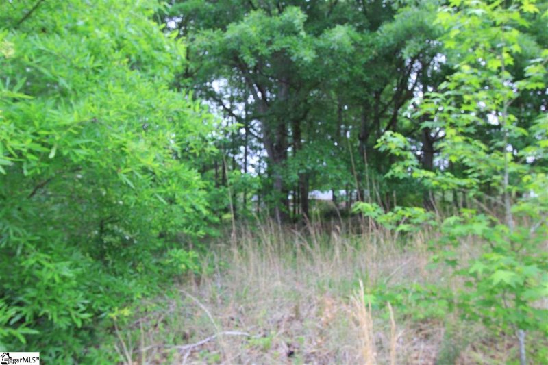 Property image 2 at Hawthorne Avenue, Woodruff, SC 29388