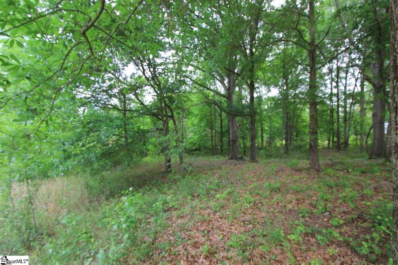 Property image 3 at Hawthorne Avenue, Woodruff, SC 29388