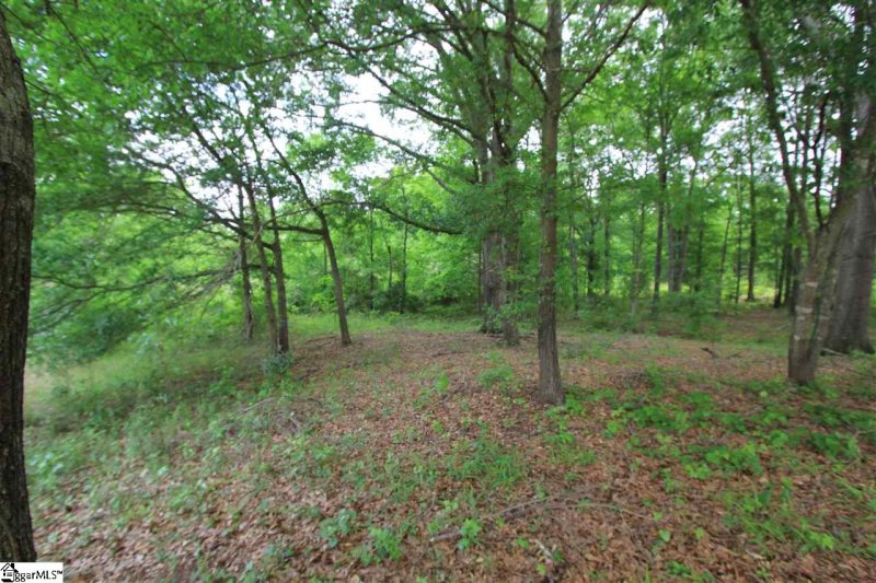 Property image 4 at Hawthorne Avenue, Woodruff, SC 29388