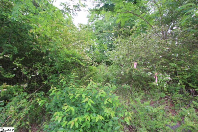 Property image 2 at Hawthorne Avenue, Woodruff, SC 29388