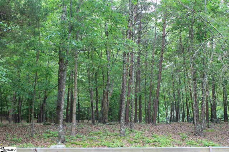 Property image 5 at Glenwood Lane, Gray Court, SC 29645