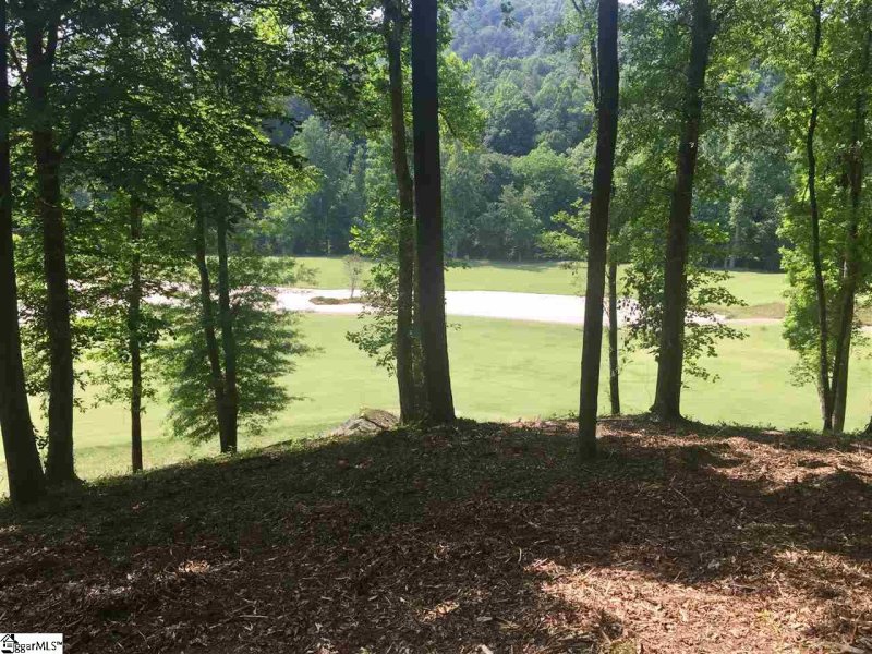 Property image 3 at 69 Fancourt Way, Travelers Rest, SC 29690