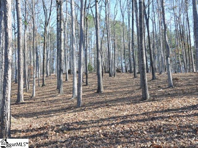 Property image 4 at Sue Craig Road, Six Mile, SC 29682