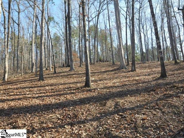 Property image 5 at Sue Craig Road, Six Mile, SC 29682