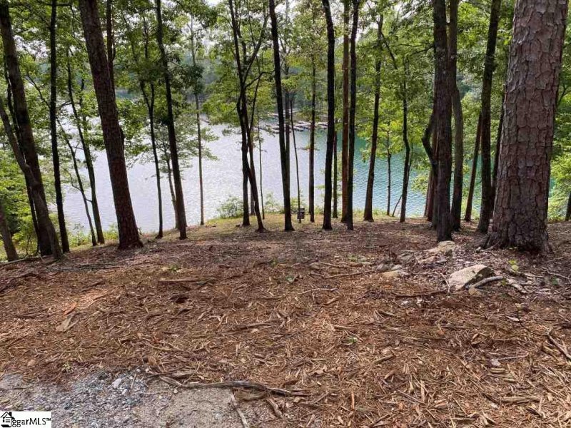 Property image 5 at Sue Craig Road, Six Mile, SC 29682