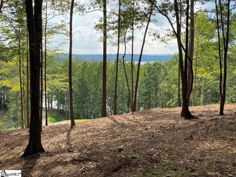 Property image 2 at Sue Craig Road, Six Mile, SC 29682