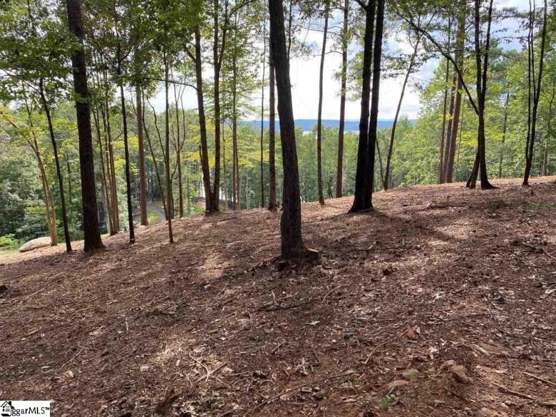 Property image 4 at Sue Craig Road, Six Mile, SC 29682
