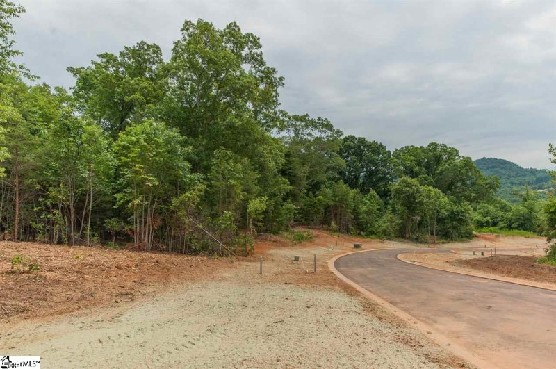 Property image 4 at 101 Pinelands Drive, Travelers Rest, SC 29690