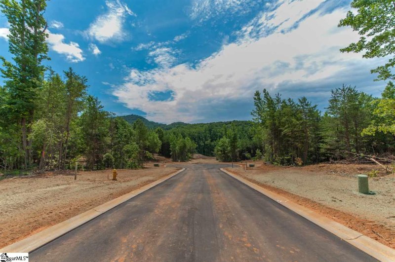 Property image 4 at 121 Pinelands Place, Travelers Rest, SC 29690