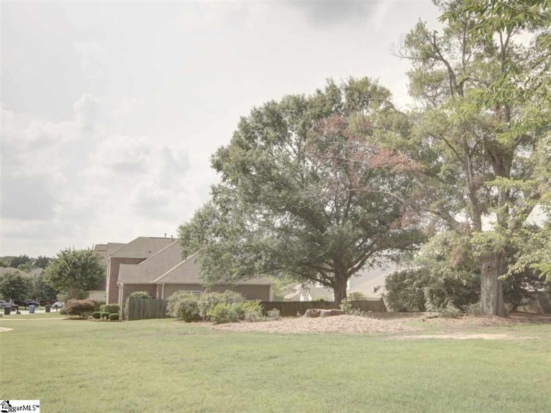 Property image 4 at 19 Old Tree Court, Simpsonville, SC 29681