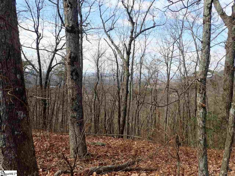 Property image 2 at 00 Altamont Road, Greenville, SC 29609