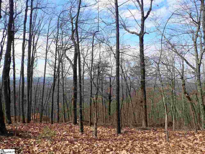 Property image 3 at 00 Altamont Road, Greenville, SC 29609