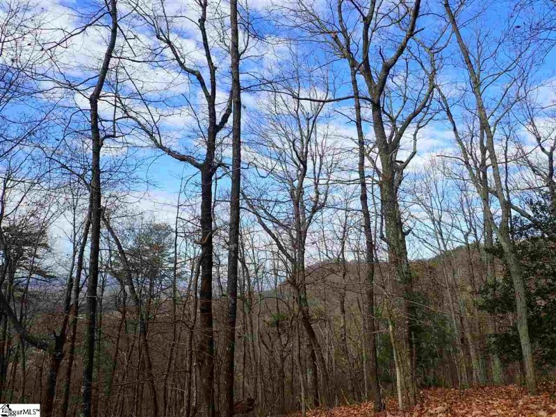 Property image 4 at 00 Altamont Road, Greenville, SC 29609