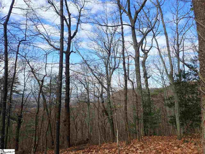 Property image 5 at 00 Altamont Road, Greenville, SC 29609