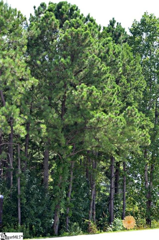 Property image 2 at Fairview Street, Fountain Inn, SC 29644