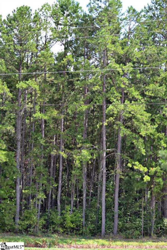 Property image 2 at Fairview Street, Fountain Inn, SC 29644