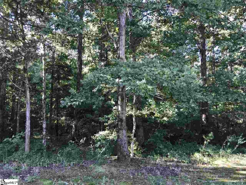 Property image 4 at 529 Bridlewood Lane, Spartanburg, SC 29301