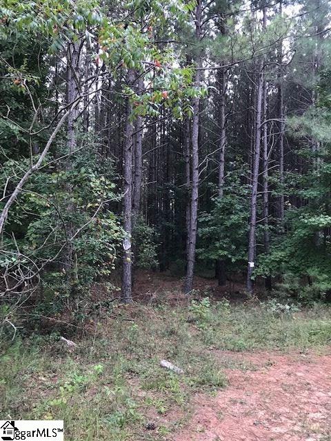 Property image 4 at 872 Dunklin Bridge Road, Fountain Inn, SC 29644