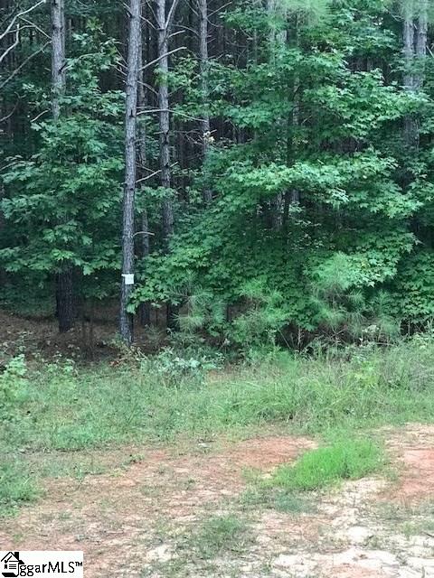 Property image 5 at 872 Dunklin Bridge Road, Fountain Inn, SC 29644