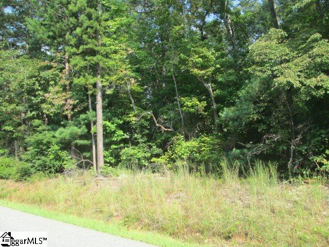 Property image 3 at 0000 Whitmire Church Road, Tamassee, SC 29686
