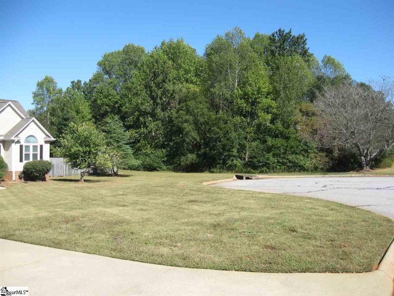 Property image 3 at 9 Farmstead Way, Fountain Inn, SC 29644