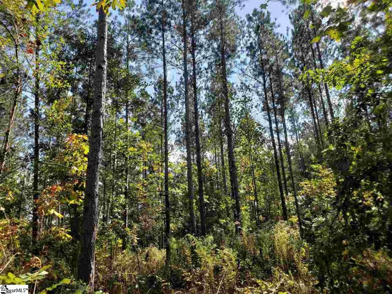 Property image 4 at 889 Dunklin Bridge Road, Fountain Inn, SC 29644