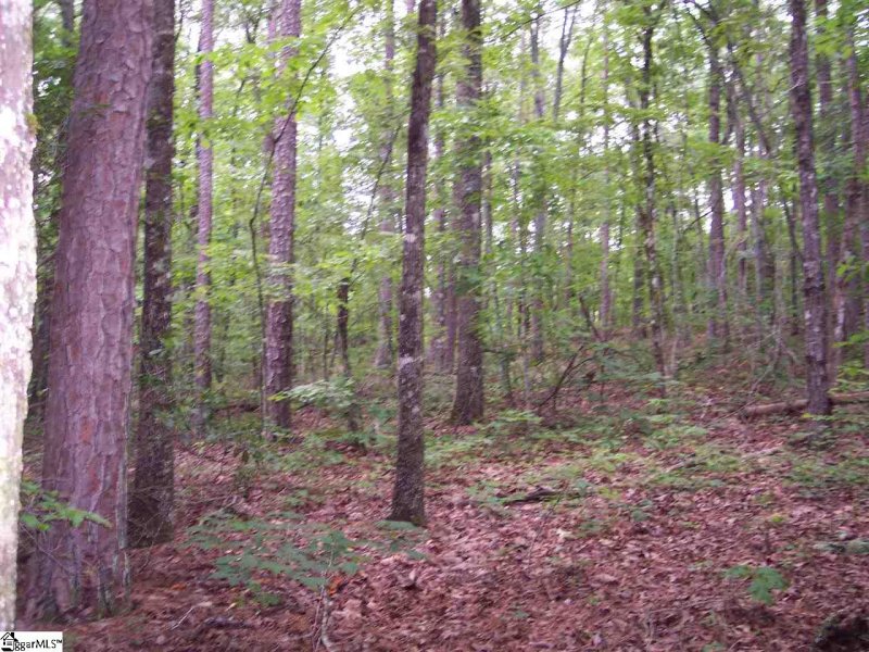 Property image 2 at 00 Shepherd Springs Drive, Cleveland, SC 29635