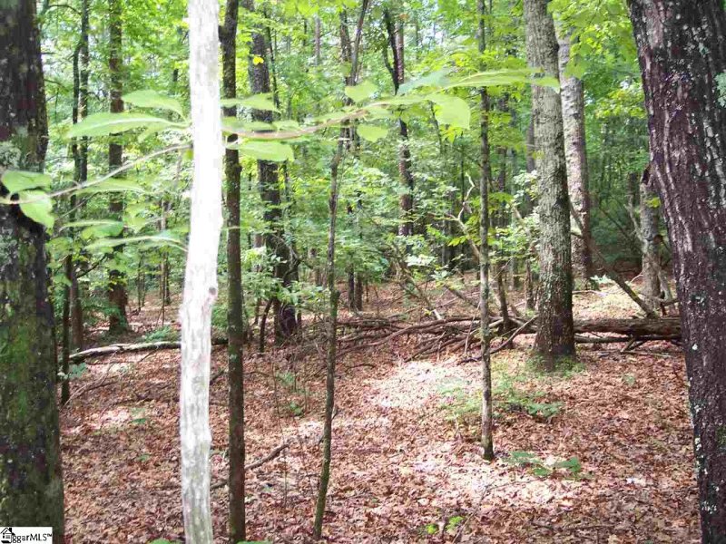 Property image 4 at 00 Shepherd Springs Drive, Cleveland, SC 29635