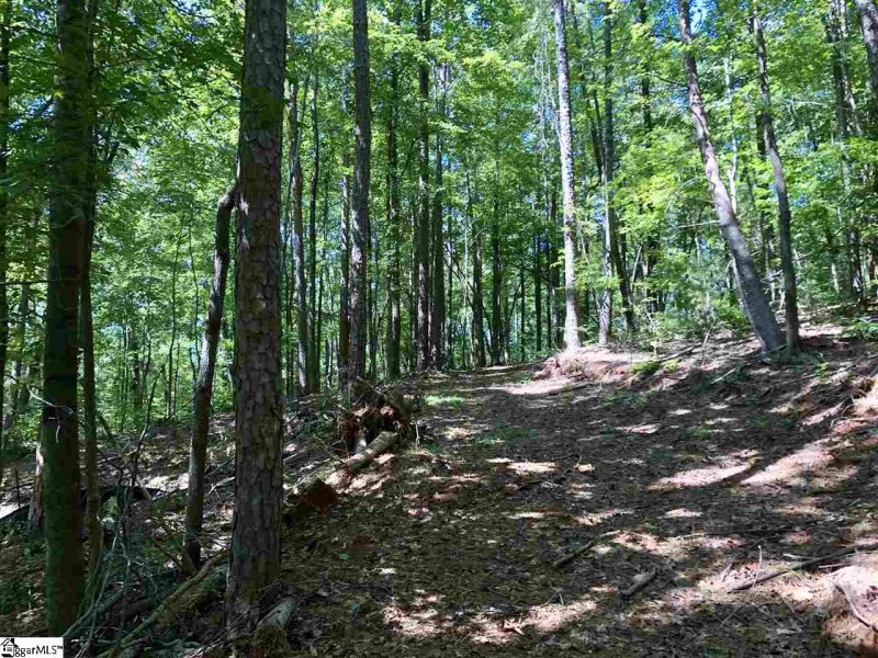 Property image 4 at 0 Trail Tree Drive, West Union, SC 29696-3616