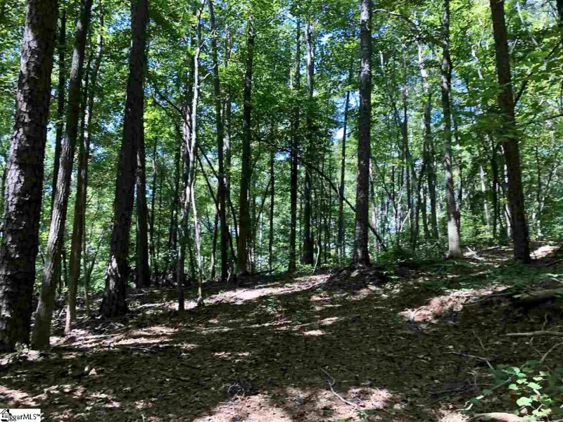 Property image 5 at 0 Trail Tree Drive, West Union, SC 29696-3616