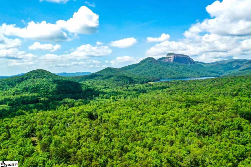 Property image 4 at 10 River Rock Court, Cleveland, SC 29635