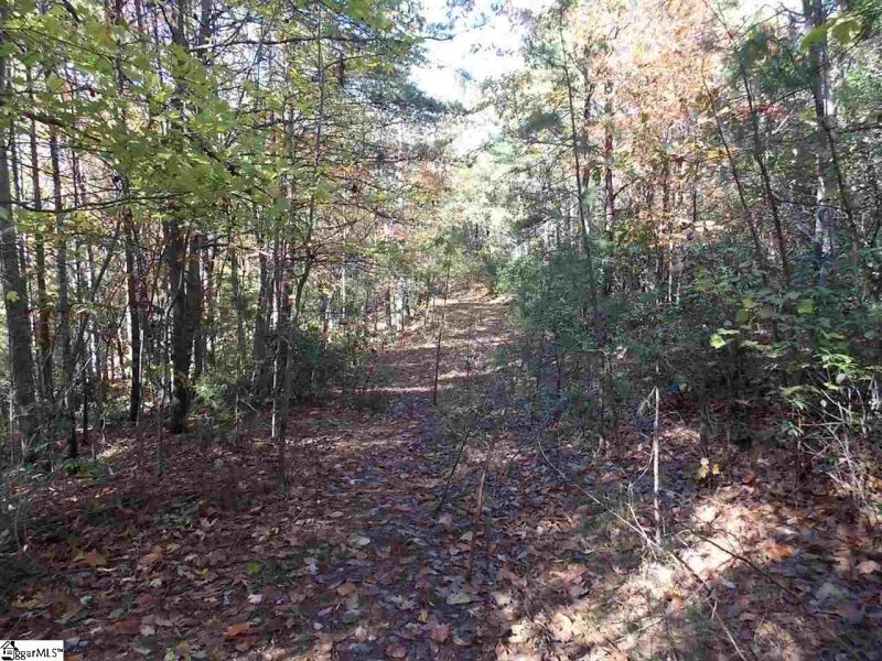 Property image 2 at 00 Raven Cliff Drive, Cleveland, SC 29635