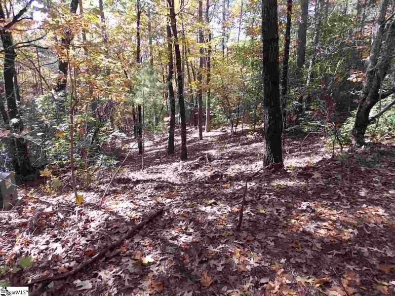 Property image 3 at 00 Raven Cliff Drive, Cleveland, SC 29635