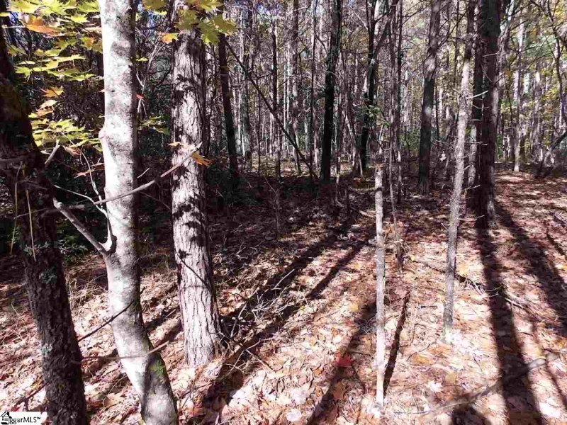 Property image 4 at 00 Raven Cliff Drive, Cleveland, SC 29635