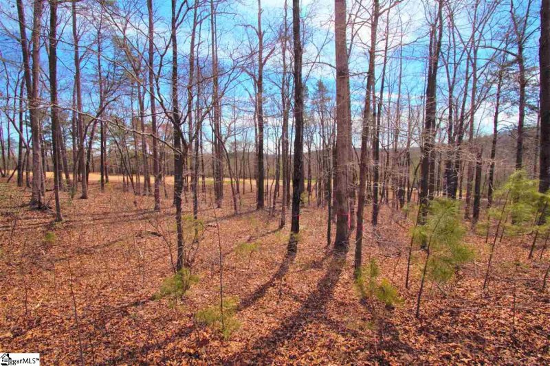 Property image 5 at 125 Falling Leaf Drive, Travelers Rest, SC 29690
