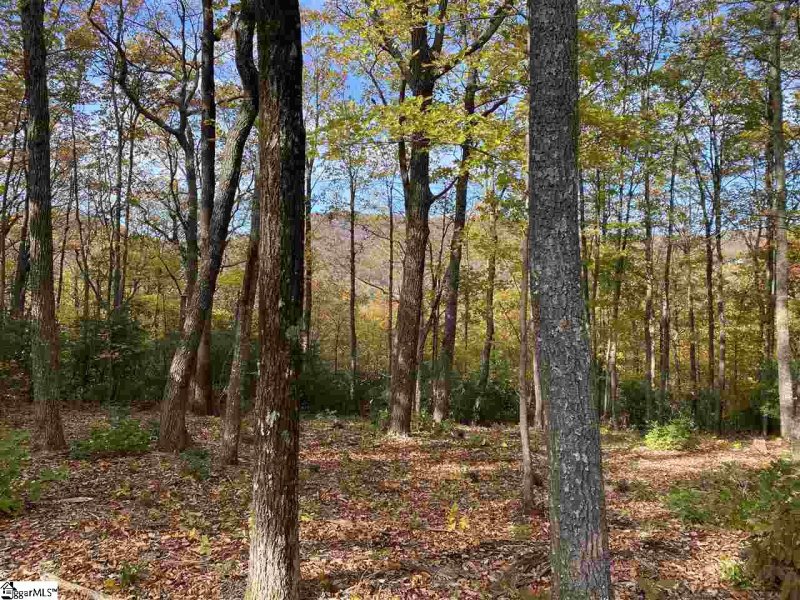 Property image 2 of 1526 Panther Park Trail in Cliffs Valley, Travelers Rest, SC 29690