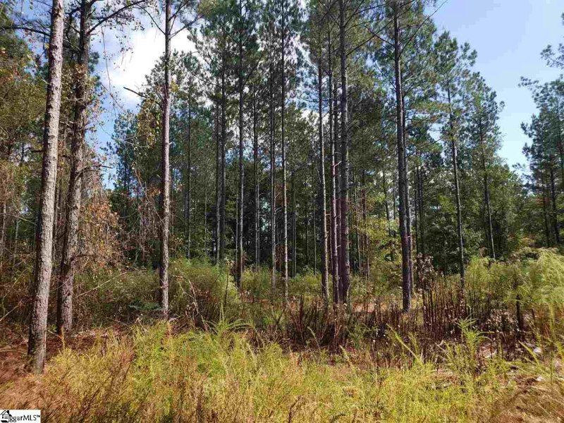 Property image 4 at 879 Dunklin Bridge Road, Fountain Inn, SC 29644