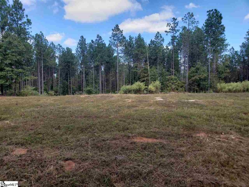 Property image 5 at 879 Dunklin Bridge Road, Fountain Inn, SC 29644