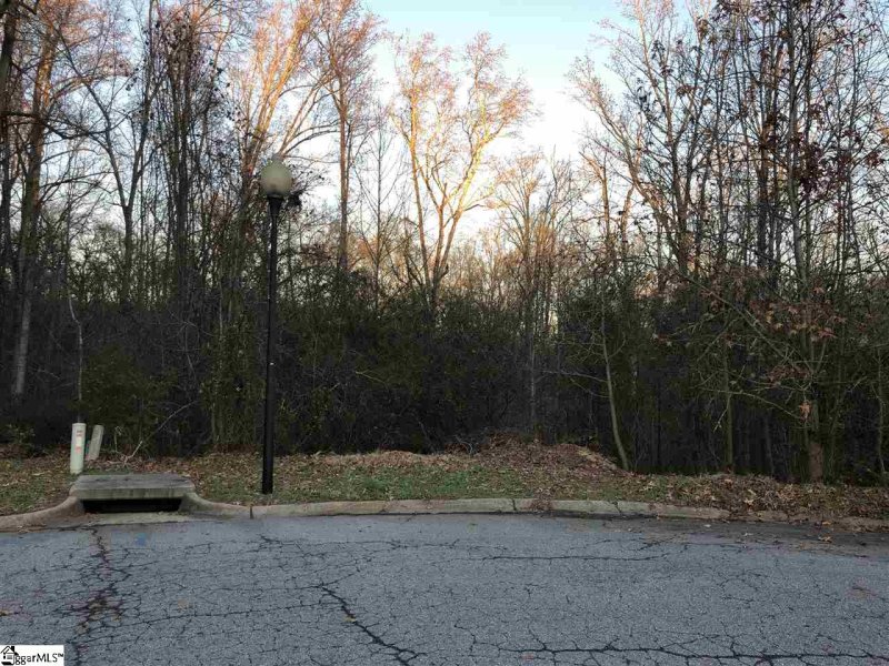 Property image 4 at 116 Hibiscus Drive, Easley, SC 29642