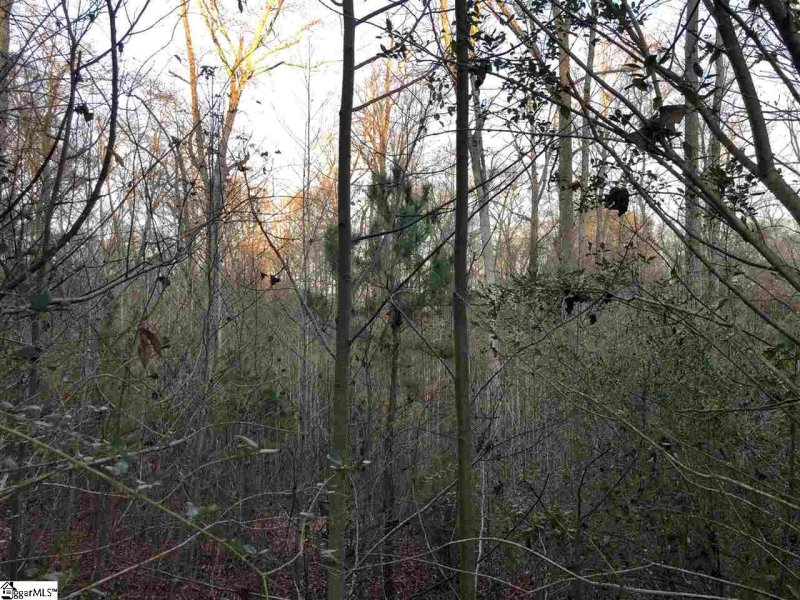 Property image 5 at 116 Hibiscus Drive, Easley, SC 29642