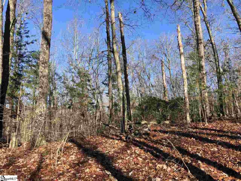 Property image 2 at 9 Rhone Valley Lane, Travelers Rest, SC 29690