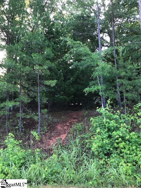 Property image 4 at 118 Angler Drive, Laurens, SC 29360